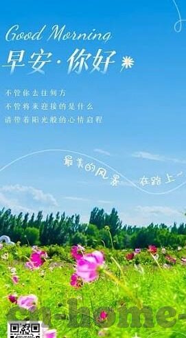 足球同角球比分直播-足球同角球，赛场风云中的战术密码与比分直播的实时魅力